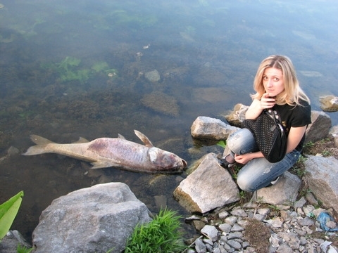 В українських річках масово гине риба