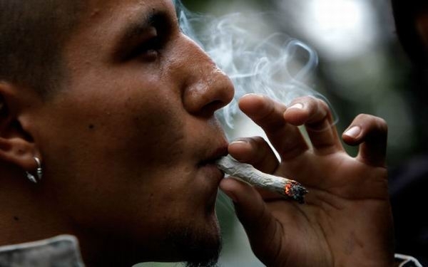 Наркоконтроль собрался разрешить марихуану в Украине