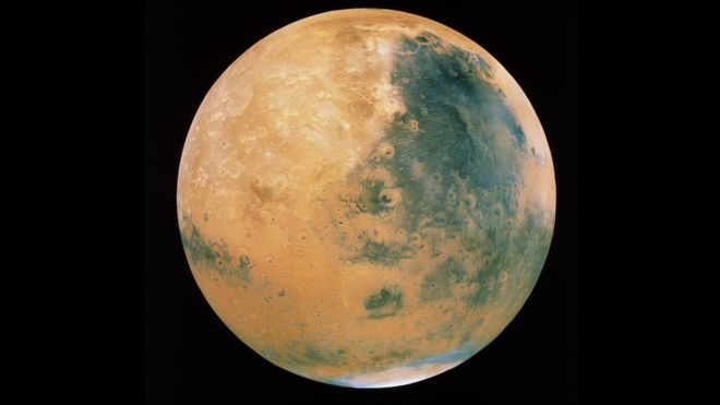 Комахи підказали вченим спосіб автономного життя на Марсі