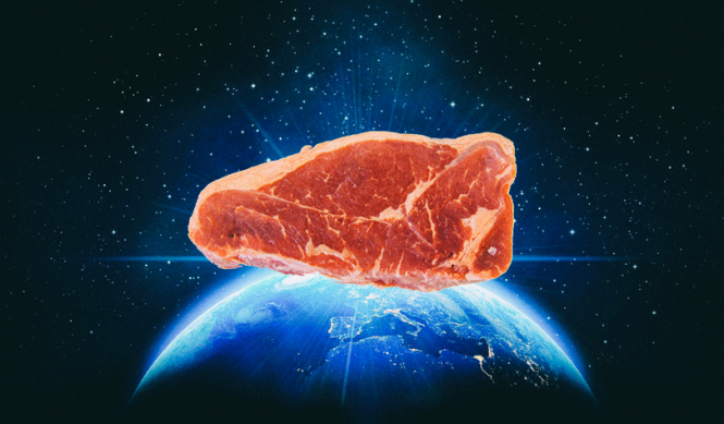 Владелец бренда ETNODIM инвестировал почти $30 тыс. в запуск производства растительного мяса в Украине