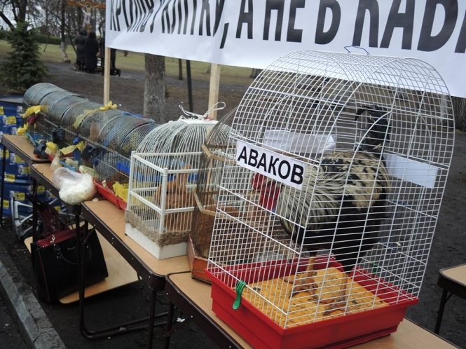 Протест под ВР: люди требуют отставки Кабмина, - ФОТОРЕПОРТАЖ