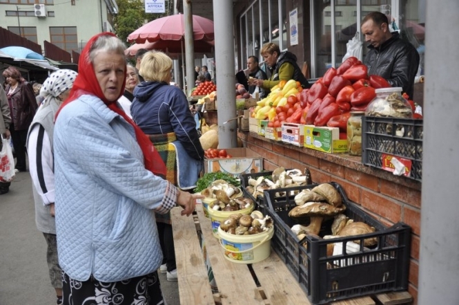Влада Криму оподаткувала гриби, ягоди та прогулянки 