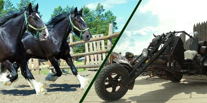 В Древнем Киеве сравнят лошадей – живых и стальных