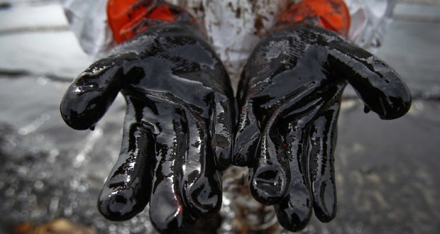 В Арктике нашли бактерии, которые могут разлагать разливы нефти и дизельного топлива