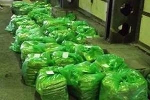 Испанские полицейские перехватили 5,5 тонн кокаина