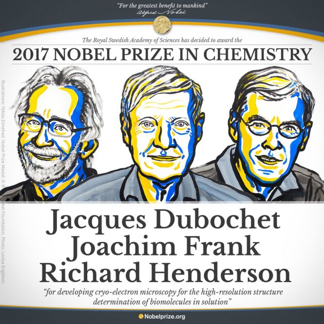 Нобелевскую премию по химии дали за мгновенную заморозку биологических образцов, - Инфографика