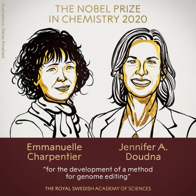 Нобелівську премію з хімії присудили за "перепис коду життя"