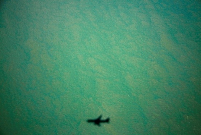 У Гонконгу вантажний літак впав у море під час посадки: є загиблі
