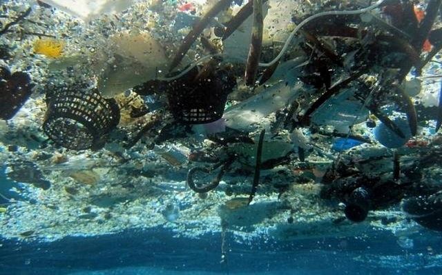 До 2025 року на кожні три тонни риби в океанах припадатиме одна тонна пластикового сміття