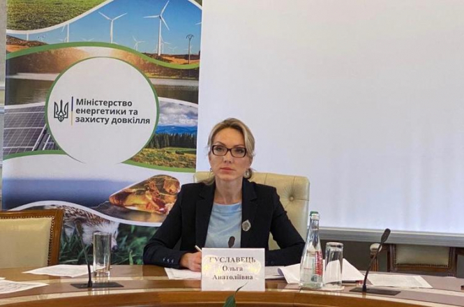 Буславець обсудила с представителями Энергосообщества стабилизации украинского энергорынка