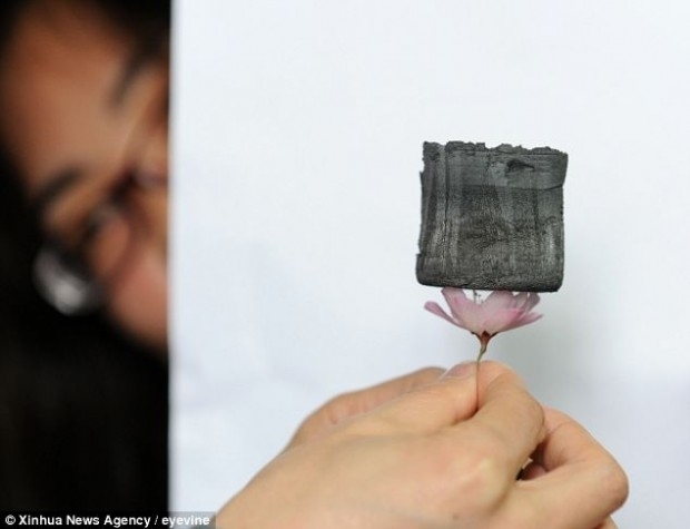 Китайці створили найлегший рукотворний матеріал на землі (фото)