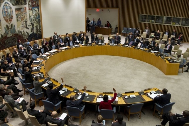 Рада Безпеки ООН одностайно підтримала резолюцію щодо 
 катастрофи 