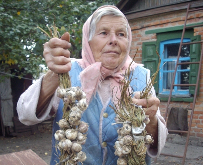 Через п’ять років вся Європа їстиме український часник