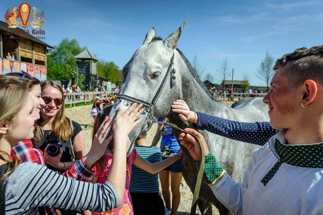 На выходных под Киевом - выставка породистых лошадей и конкурс маленьких красавиц