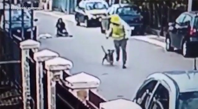 Бездомный пес не позволил вору ограбить женщину на улице - ВИДЕО