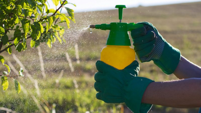 Европол изъял рекордные 360 тонн поддельных пестицидов