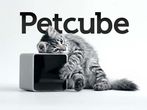 Український стартап Petcube зібрав на Kickstarter 200 тисяч за 15 днів