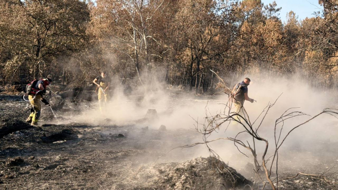 Українські рятувальники прибули до Франції, щоб допомогти ліквідовувати лісові пожежі