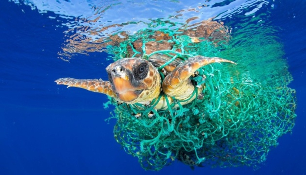 Пластика в океане в 20 лет может увеличиться втрое - ООН