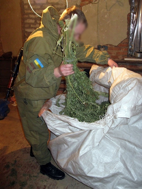Поклоннику сепаратистского движения, который выращивал марихуану, грозит до 8 лет тюрьмы