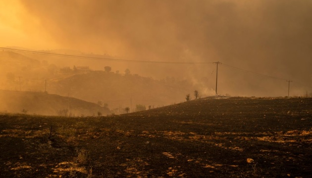 У Греції лісові пожежі назвали найбільшою екокатастрофою за останні десятиліття