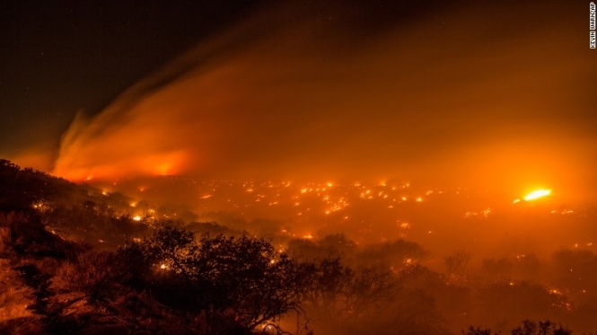 В Калифорнии горят сотни гектаров леса