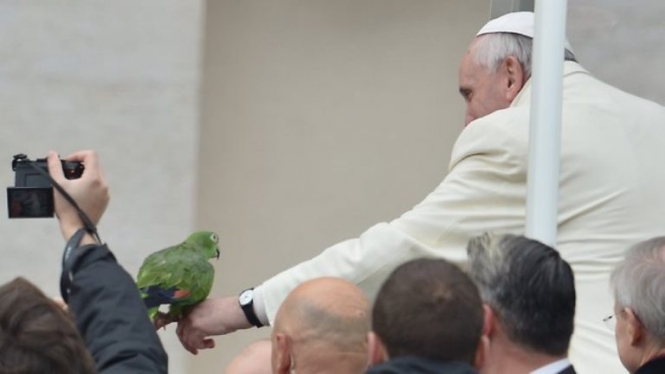 Папа Римский благословил попугая