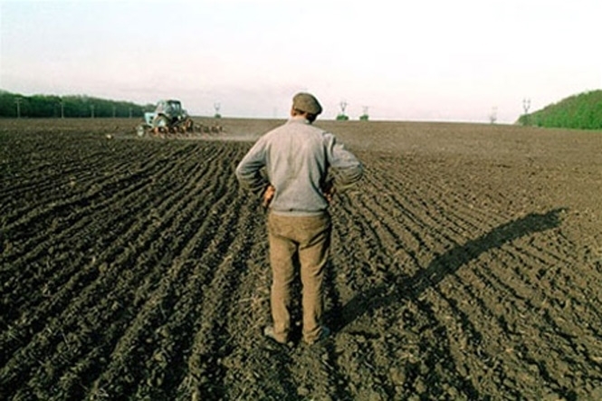 Зоной рискованного земледелия в ближайшие годы могут стать 2/3 территории Украины - Лещенко