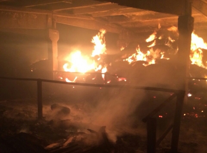 На Київщині через пожежу на фермі загинуло більше 100 тварин