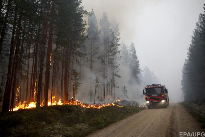 Страны ЕС отправили материально-техническую помощь для борьбы с масштабными пожарами в Швеции