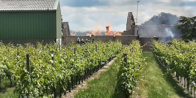 Во Франции пожар уничтожил 250 тыс. литров коньяка
