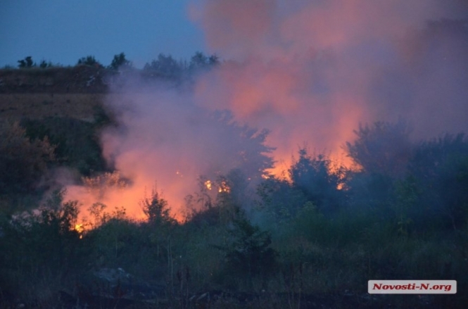 Спасателям удалось локализовать пожар в Чернобыльской зоне