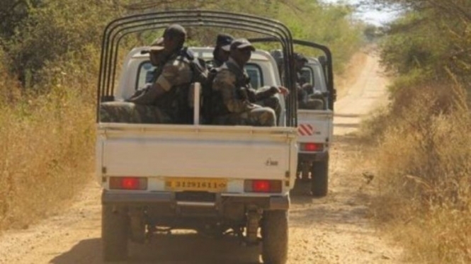 Вибух на півночі Камеруну: загинули 25 осіб