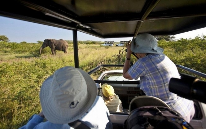 Кенія проведе перший перепис дикої природи