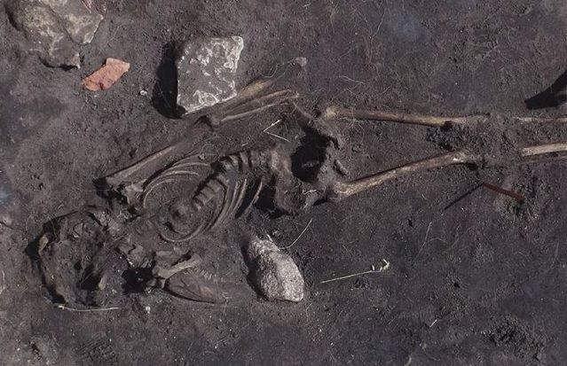В Швеции археологи наткнулись на следы массового убийства, произошедшего более 1,5 тыс лет назад