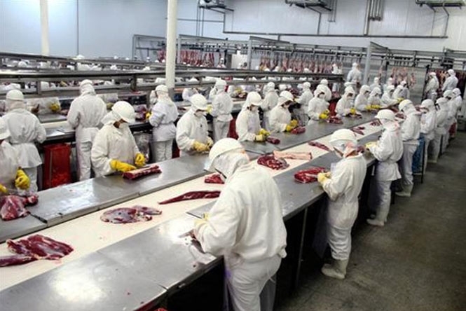 Україна скорочує виробництво м'яса