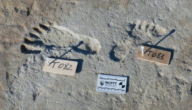 Учені знайшли у США людські сліди, яким понад 20 тисяч років