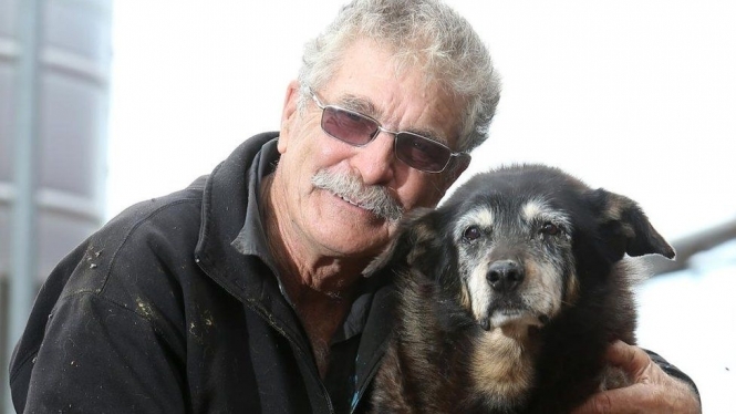 В Австралии умерла старейшая собака на планете
