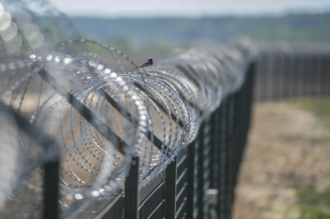 Естонія завершує будівництво першої ділянки паркану з колючим дротом на кордоні з РФ
