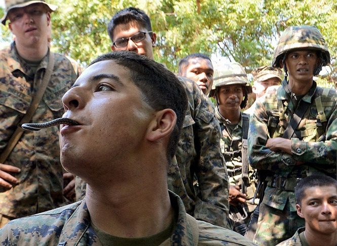 Морські піхотинці США вчаться виживати у джунглях Таїланду