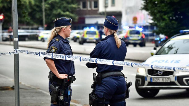 Швеция призвала протестующих уйти в онлайн на время пандемии