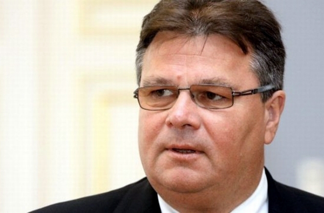 ЄС не встановлював дед-лайн для звільнення Тимошенко, - глава МЗС Литви