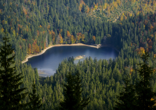 Рівень води у найбільшому гірському озері України впав до історичного мінімуму