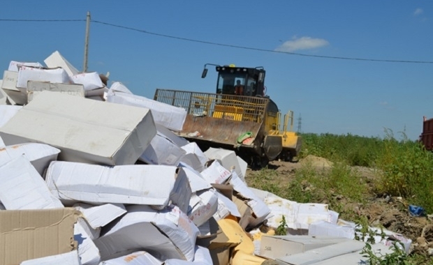 У Росії трактором знищили 40 тонн бельгійських груш
