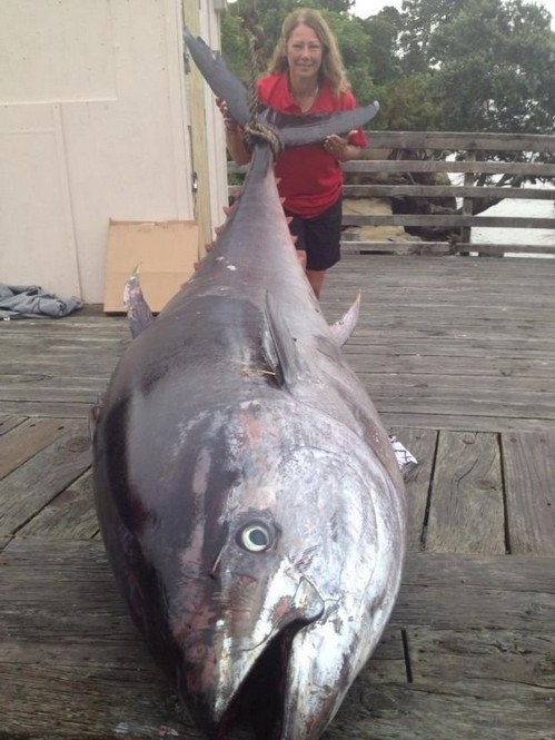 Новозеландка піймала найбільшого у світі тунця 