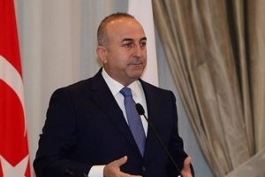 Турция призывает принять Грузию в НАТО без прохождения Программы действий относительно членства