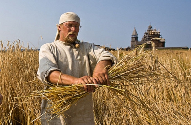 Індія планує потіснити Україну на ринку зерна
