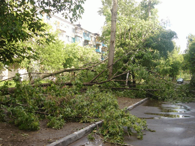 Три особи постраждали внаслідок урагану в Луганську