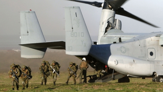 США проведут трехмесячные военные учения в Польше и Прибалтике