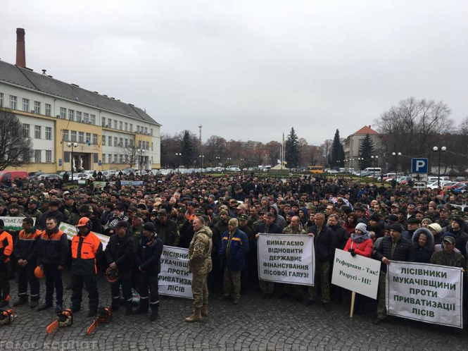 В Ужгороде облсоветом митингуют против приватизации лесов